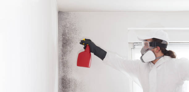 Best Residential Mold Remediation in Soulsbyville, CA